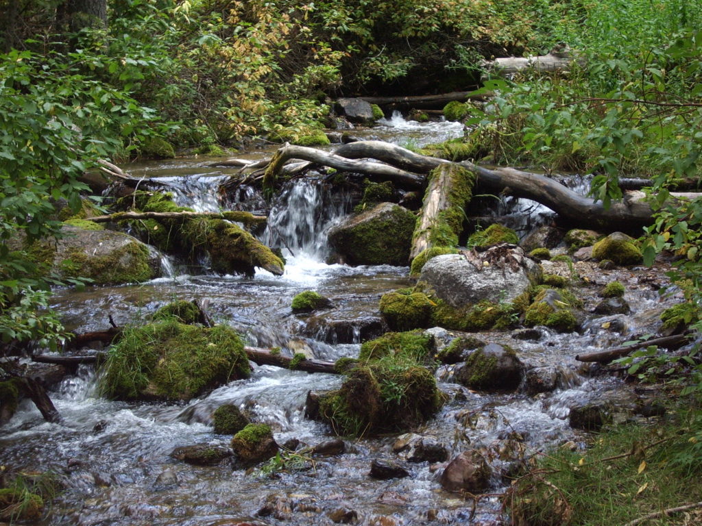 Mountain Stream, 2004